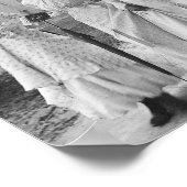 マーシャル・テキサス州の三人の女性 ポスター (角)