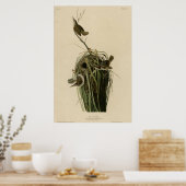 マーシュウォレン ポスター (キッチン)