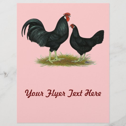 マーシュデイジーチキン チラシ (正面)