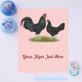 マーシュデイジーチキン チラシ (シングル)