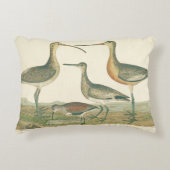 マーシュバードキュルスナイペ野鳥観察 アクセントクッション (正面)