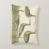 マーシュバードキュルスナイペ野鳥観察 アクセントクッション (裏面(縦))