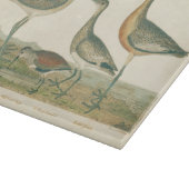 マーシュバードキュルスナイペ野鳥観察 カッティングボード (角)