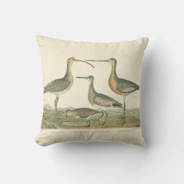 マーシュバードキュルスナイペ野鳥観察 クッション