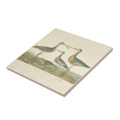 マーシュバードキュルスナイペ野鳥観察 タイル (側面)