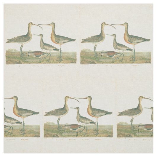 マーシュバードキュルスナイペ野鳥観察 ファブリック (見本)