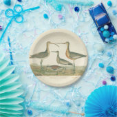 マーシュバードキュルスナイペ野鳥観察 ペーパープレート (パーティー)