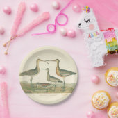 マーシュバードキュルスナイペ野鳥観察 ペーパープレート (パーティー)