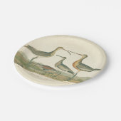 マーシュバードキュルスナイペ野鳥観察 ペーパープレート (アングル)