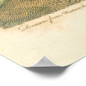 マーシュバードキュルスナイペ野鳥観察 ポスター (角)