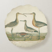 マーシュバードキュルスナイペ野鳥観察 ラウンドクッション (裏面)