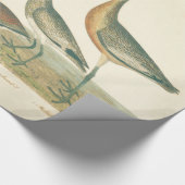 マーシュバードキュルスナイペ野鳥観察 ラッピングペーパー (角)