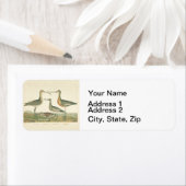 マーシュバードキュルスナイペ野鳥観察 ラベル (インサイチュ)