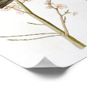 マーシュブラックバードJohn Audubon Birds of America ポスター (角)