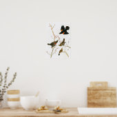 マーシュブラックバードJohn Audubon Birds of America ポスター (キッチン)