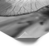 マーシュマリゴールド ポスター (角)