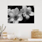 マーシュマリゴールド ポスター (キッチン)