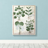 マーシュマロ&ハストゥラレジアアラバッカ&ホテル キャンバスプリント (インサイチュ (ウッドフロア))