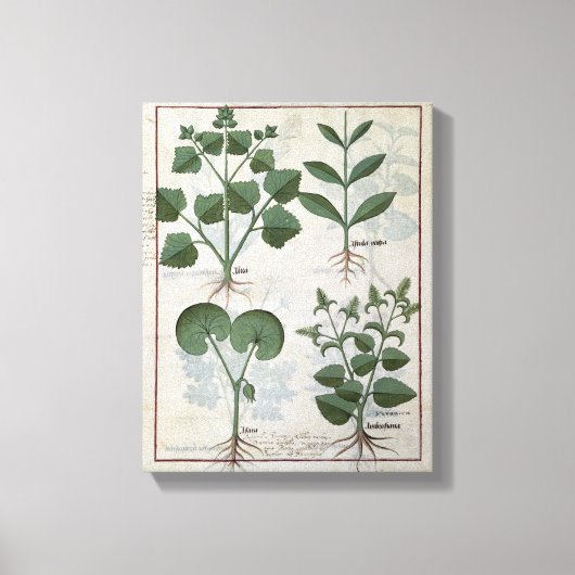 マーシュマロ&ハストゥラレジアアラバッカ&ホテル キャンバスプリント (正面)