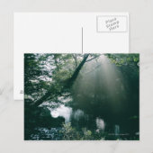 マーシュランド3 ポストカード (正面/裏面)