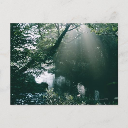 マーシュランド3 ポストカード (正面)