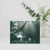 マーシュランド3 ポストカード (スタンド正面)