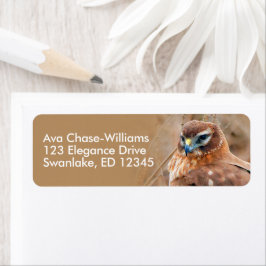 マーシュ素晴らしスの北ハリアホーク ラベル