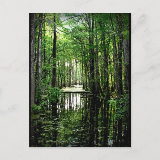 マーシュ美しい ポストカード (正面)