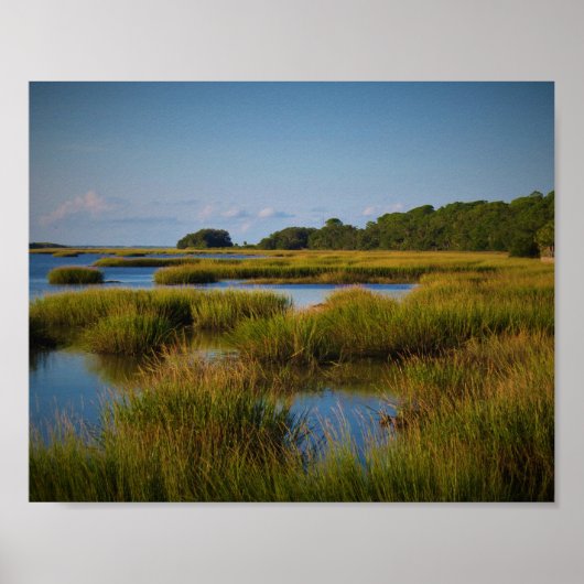 マーシュ ポスター (正面)