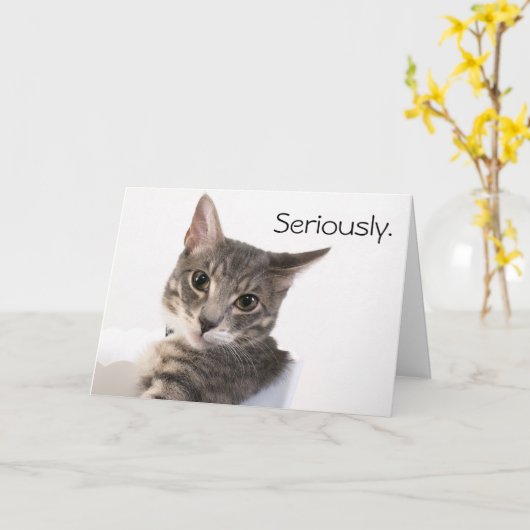 マージーバスター誕生日 カード (黄色い花)