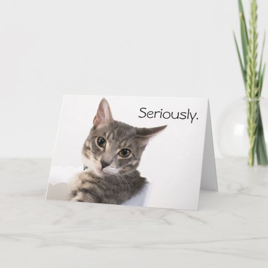 マージーバスター誕生日 カード (正面)