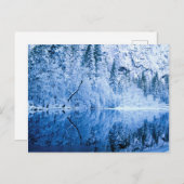 マーセド川|ヨセミテ国立公園（カリフォルニア州） ポストカード (正面/裏面)