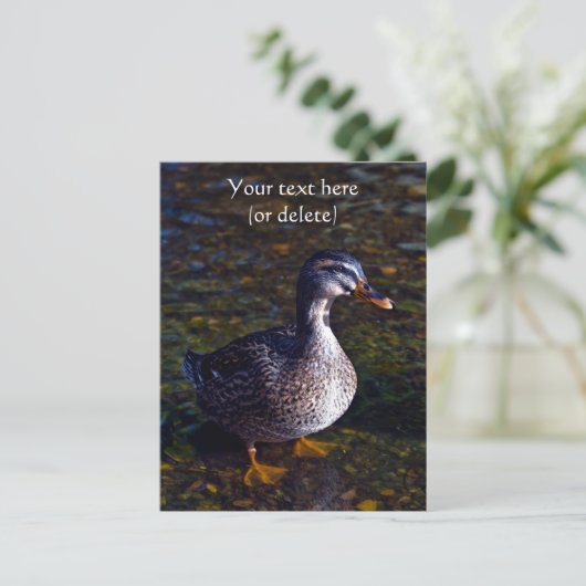 マーダックのポストカード ポストカード (スタンド正面)