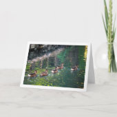 マーダル鴨 水面反射 ポートレート カード (正面)