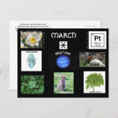 マーチピセス誕生日はがき シーズンポストカード (正面/裏面)