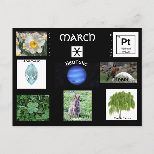 マーチピセス誕生日はがき シーズンポストカード (正面)