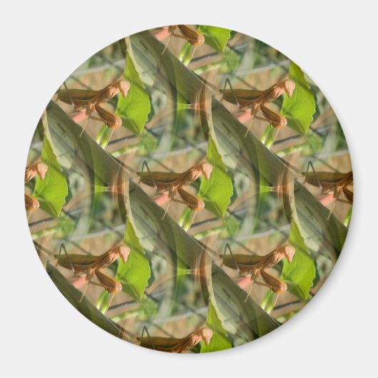 マーチンが….. マグネット (正面)