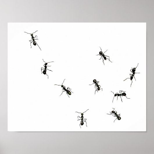 マーチングアリ.png ポスター (正面)