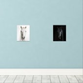 マーチング白黒馬ポートレート (ウッドフロア)