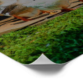 マーチ・アニマルアートに登場 ポスター (角)