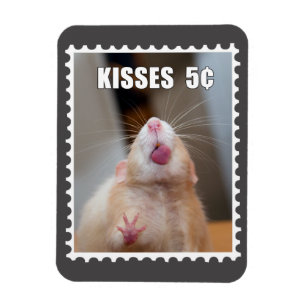 マーティキス磁石 マグネット
