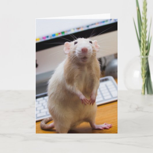 マーティマウス立ち上げグリーティングカード カード (正面)