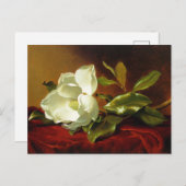 マーティンジョンソンヘードマグノリアヴィンテージ ポストカード (正面/裏面)