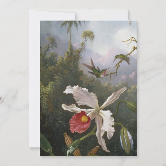 マーティンジョンソンヘード – Two Hummingbirds シーズンカード (正面)