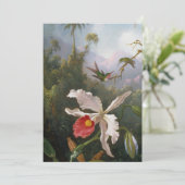 マーティンジョンソンヘード – Two Hummingbirds シーズンカード (スタンド正面)