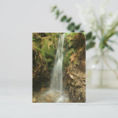 マーティンズブルックロード ポストカード (スタンド正面)