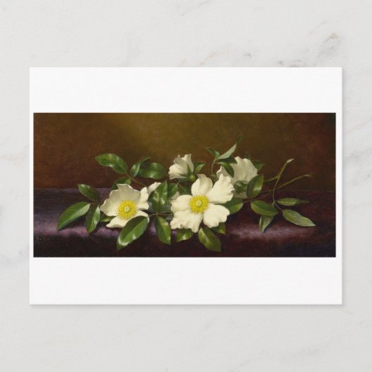 マーティンヒードチェロキーバラオンザパープルクロス ポストカード (正面)