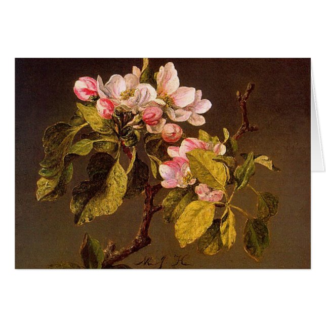 マーティン・ジョンソンHeade - Appleの花 (正面横)