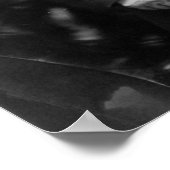 マーティン・ヴァン・ビューレン大統領 ポスター (角)