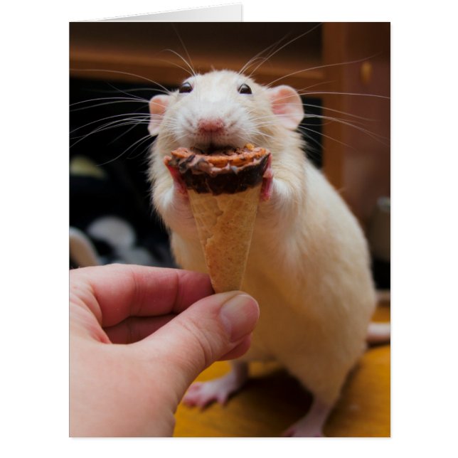 マーティ食べ物ーのアイスクリーム (正面)